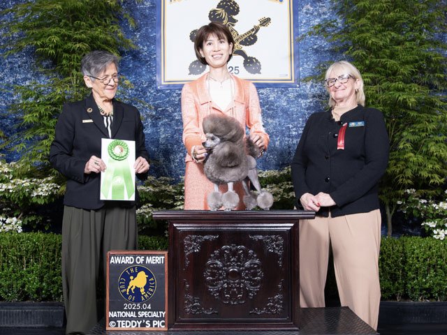 CN サン ♂（2024年4月22日 生まれ）PRA ノーマルクリア