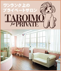 トリミングサロン 横浜 TAROIMO for PRIVATE